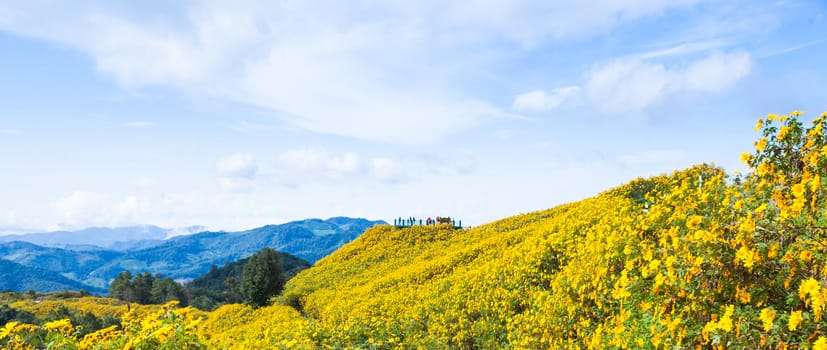 View Flower Fields Tourists at Viewpoint Nature, mountains, flowers and sky