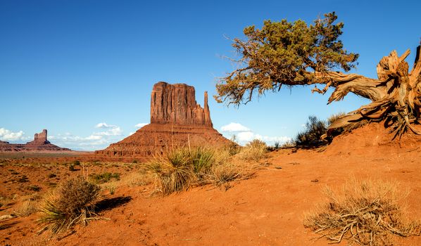 The unique landscape of Monument Valley, Utah, USA. 