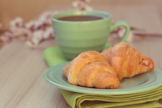 Cup of tea and croissants near blossoming branches. toning