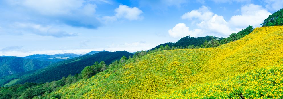 Field of yellow flowers Situated on the foothills of the mountains Cloud covered the sky