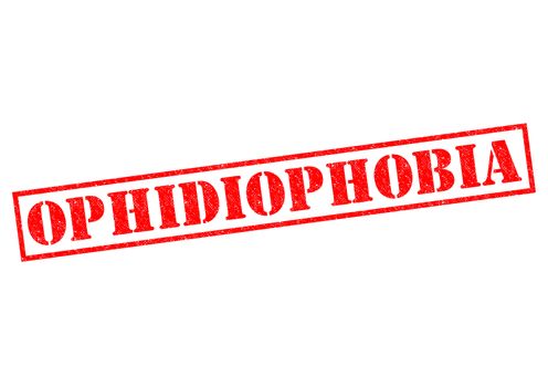 OPHIDIOPHOBIA (fear of snakes) red Rubber Stamp over a white background.