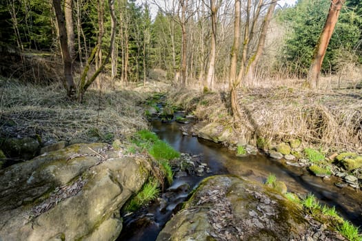 Falls on the small mountain river in a wood in spring