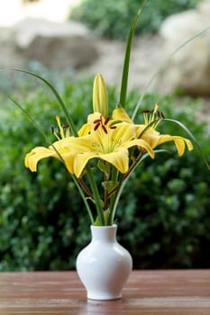 flowering yellow lily in vase with shallow focus