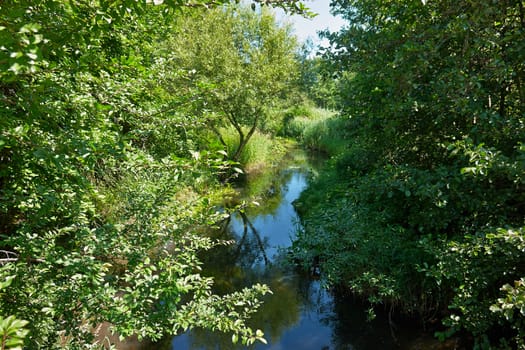 Small beautiful brook stream river in a green lush forest nature background                                               