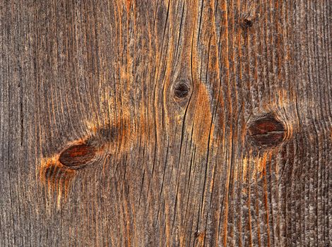 background or texture rustic wooden board with branch