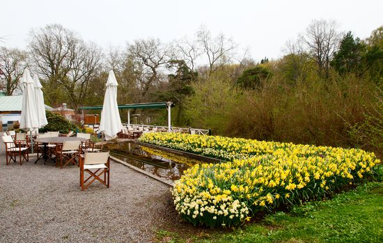 Street cafe in the park and yellow flowers around the pond