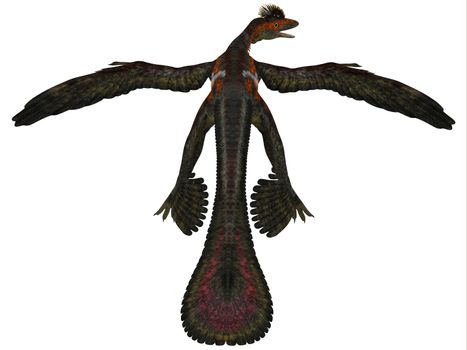 Microraptor was a flying dinosaur that lived in the Cretaceous Period of China.