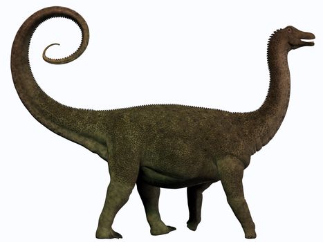 Saltasaurus was a sauropod dinosaur of the Cretaceous Period of Argentina.