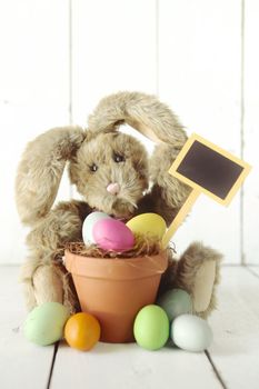 Adorable Easter Bunny Themed Holiday Occasion Image