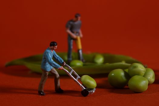 Miniature Construction Workers in Conceptual Food Imagery With Snap Peas