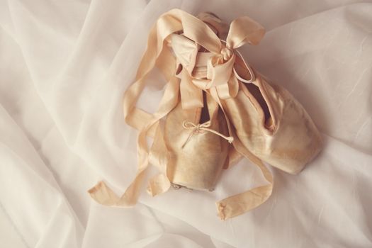 Romantic Posed Pointe Shoes in Natural Light 