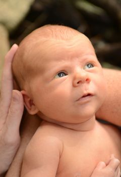 beautiful newborn infant looking up