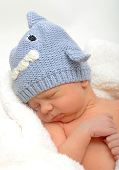 sleeping newborn infant in gray shark hat