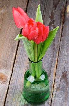 Three Spring Red Tulips with Water Drops in Green Bottle isolated on Rustic Wooden background