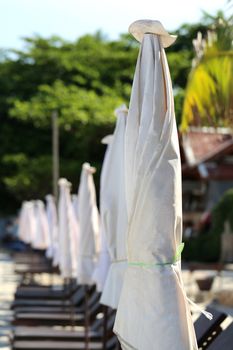 umbrellas standing in a row on the beach