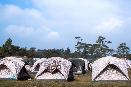 Many tents at a campsite, National Park 