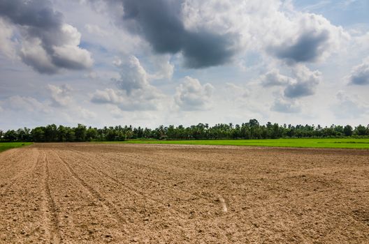 Ploughed field in the rice field in countryside view Thailand