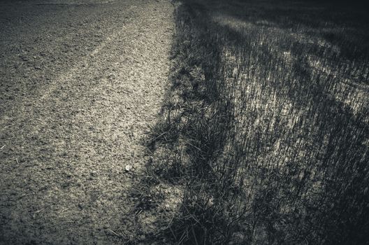 Ploughed field in the rice field in countryside view Thailand