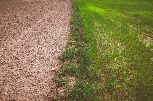 Ploughed field in the rice field in countryside view Thailand