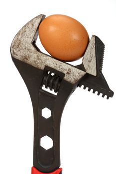 Wrench and a egg close up over white