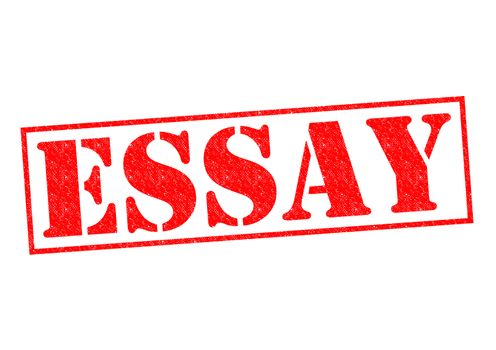 ESSAY red Rubber Stamp over a white background.