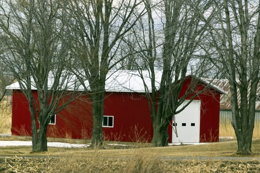 Bright red barn on the small side with row of bare trees. 