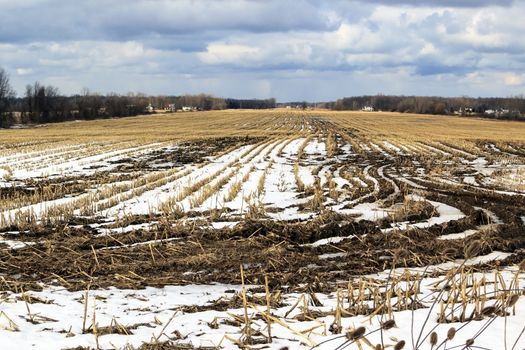 Plowed field in the frozen winter. The sky is filled with clouds. 