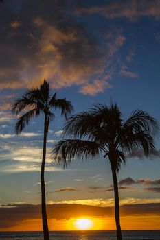 Sun setting between two palm trees