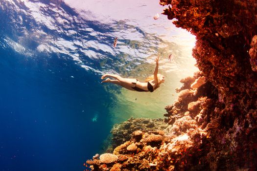 beautiful girl and corals in the sea