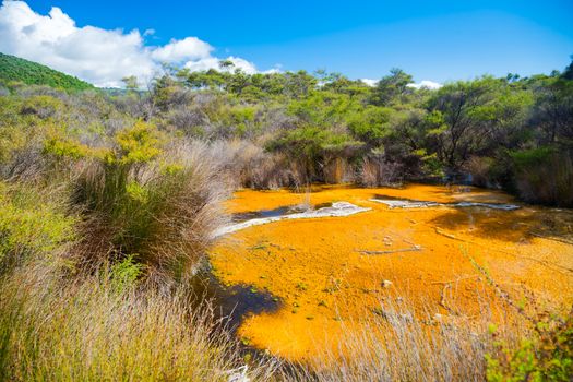 Tokaanu thermal park geothermal area in New Zealand