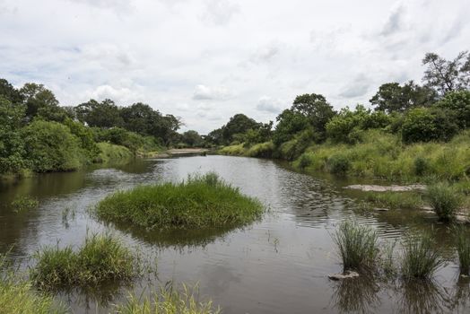 water river in kruger national park south africa 