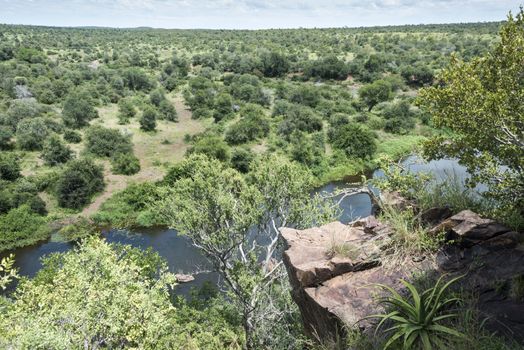 view from high viewpost over kruger national park south africa 