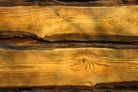 wooden planks light brown around the edges with bark