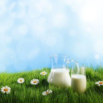 Milk jug and glass on the grass with chamomiles