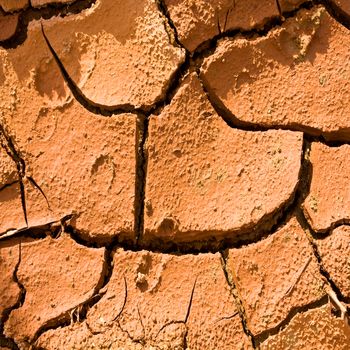 Dry cracked earth texture for background