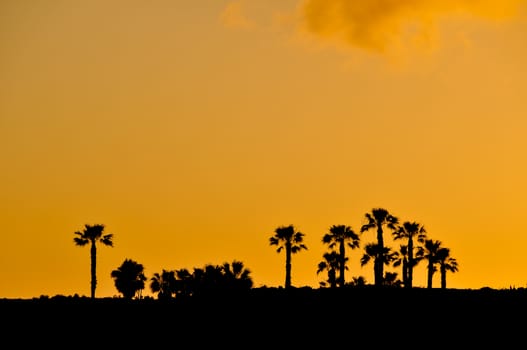 Sunset Scene at Tropical Beach Resort Silhouette
