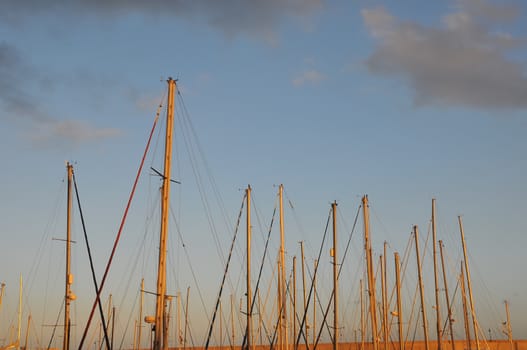 Sail Boats Masts In Port With Sunset Background.