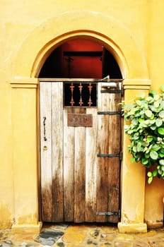 Arched medieval wooden door
