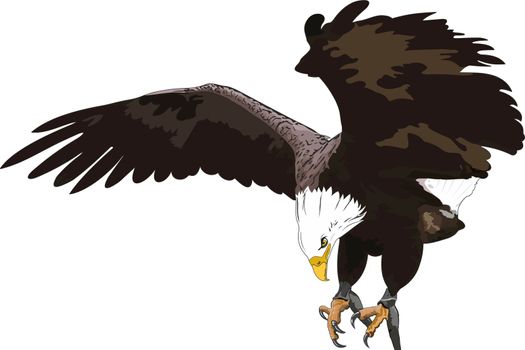 Illustration of an eagle in flight with wings spread