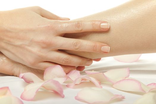 woman foot receiving gentle massage on bed with rose petals, isolated with work path