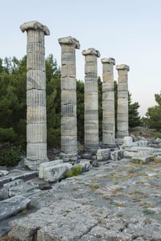 Columns of Priene