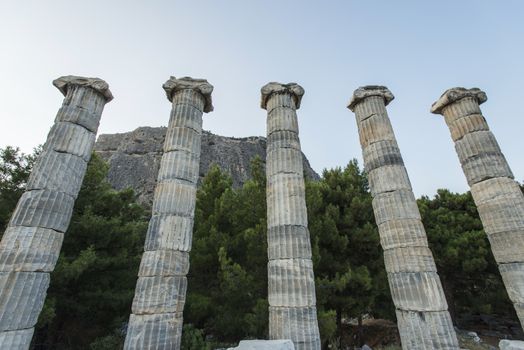 Columns of Priene