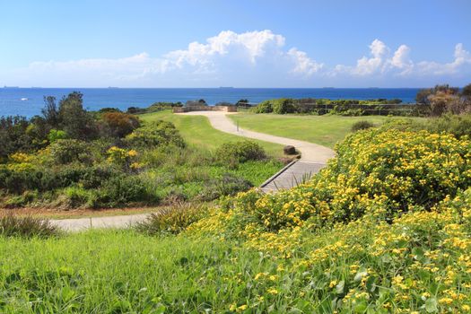 Southern headland of Caves Beach, NSW, Australia, a suburb of the Swansea Peninsula