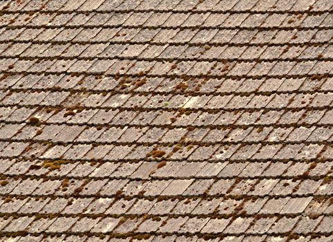 background or texture moss covered shingle roof