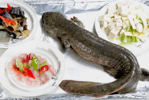 Chinese Food: Giant salamander to be cooked