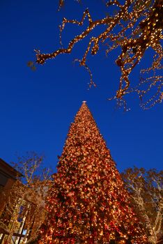 christmas tree in los angeles in the evening