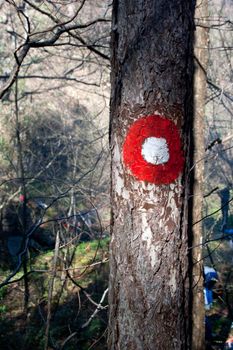 Hiking mark on tree