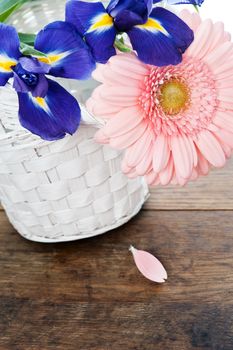 Blue irisis and pink gerbera daisy flower in white basket on wooden table. Vintage style 