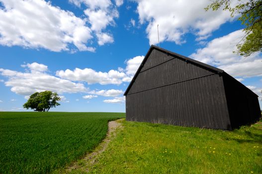 Barn and landscape with a tree on a hill. The sky is blue with white clouds.