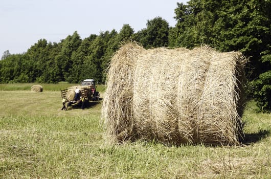 Haymaking farmers It is the first important summer job 